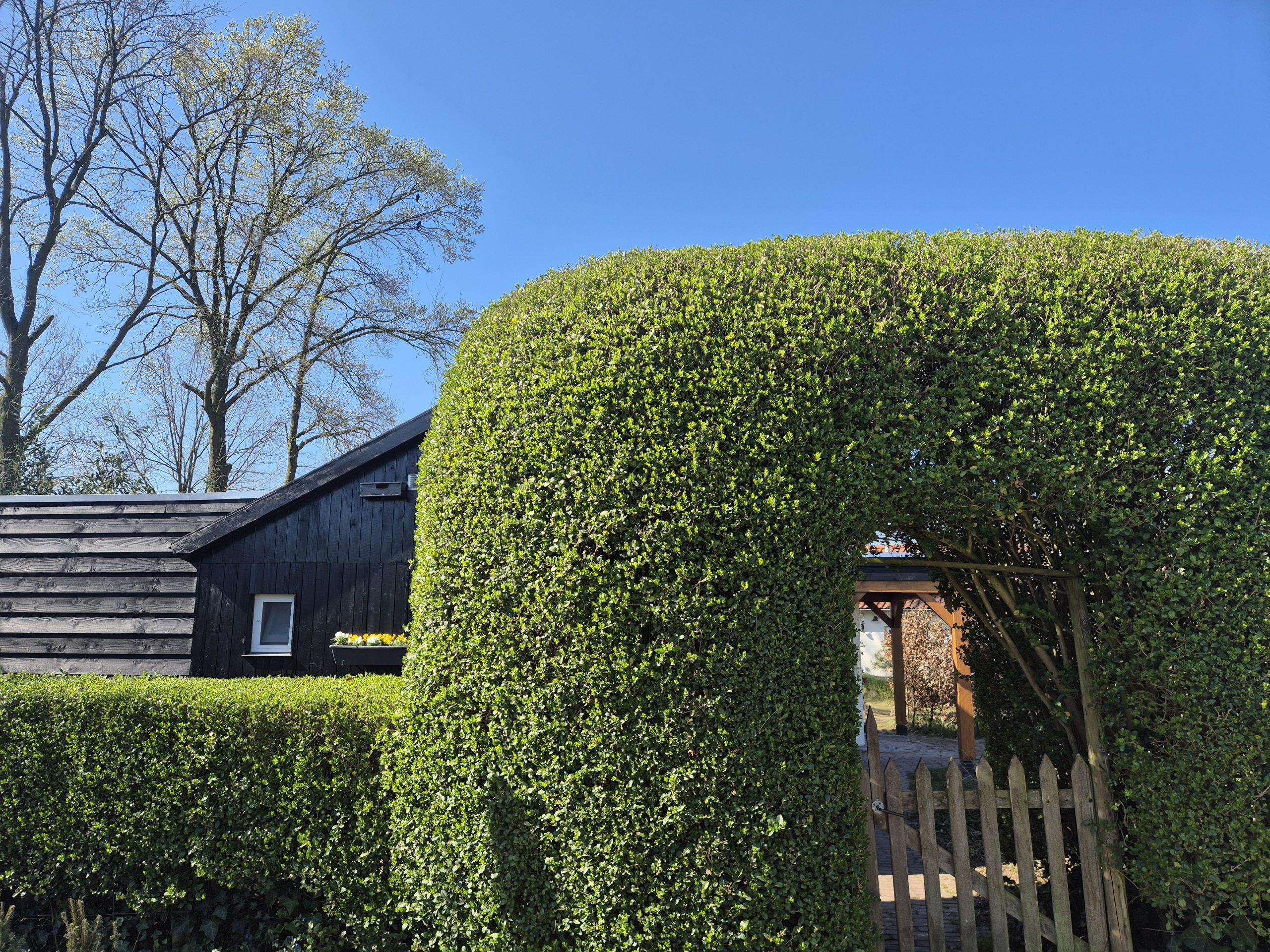B&B ingang heg Ingang Tuinhuis B&B Helene Hoeve